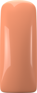 (Codice:168724) LL POLISH SASSY SALMON