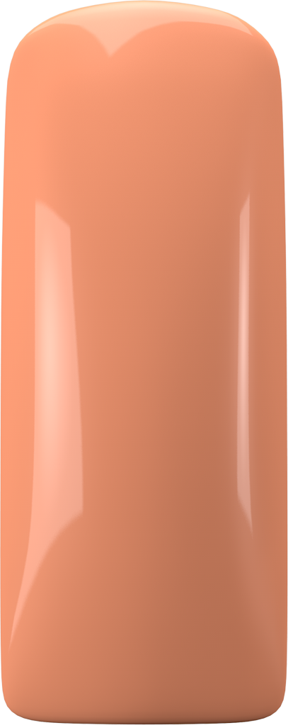 (Codice:168724) LL POLISH SASSY SALMON